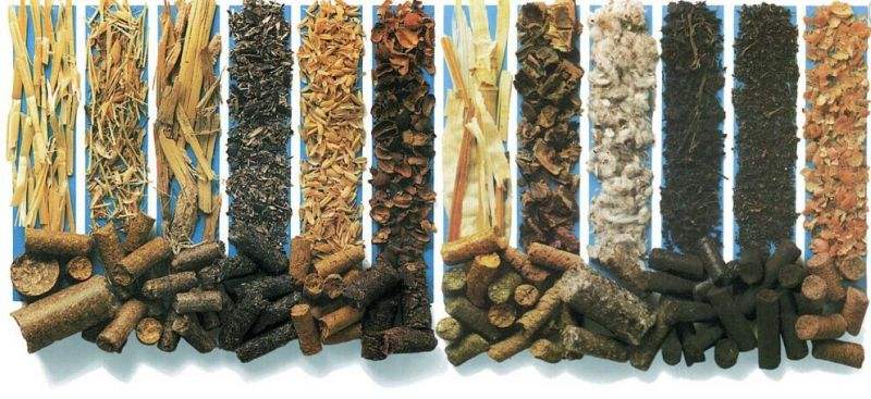 影響生物質(zhì)燃料顆粒設備出料口因素？