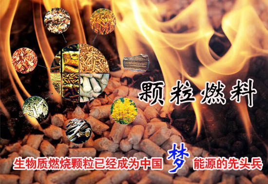 生物質(zhì)燃料顆粒多少錢一噸！