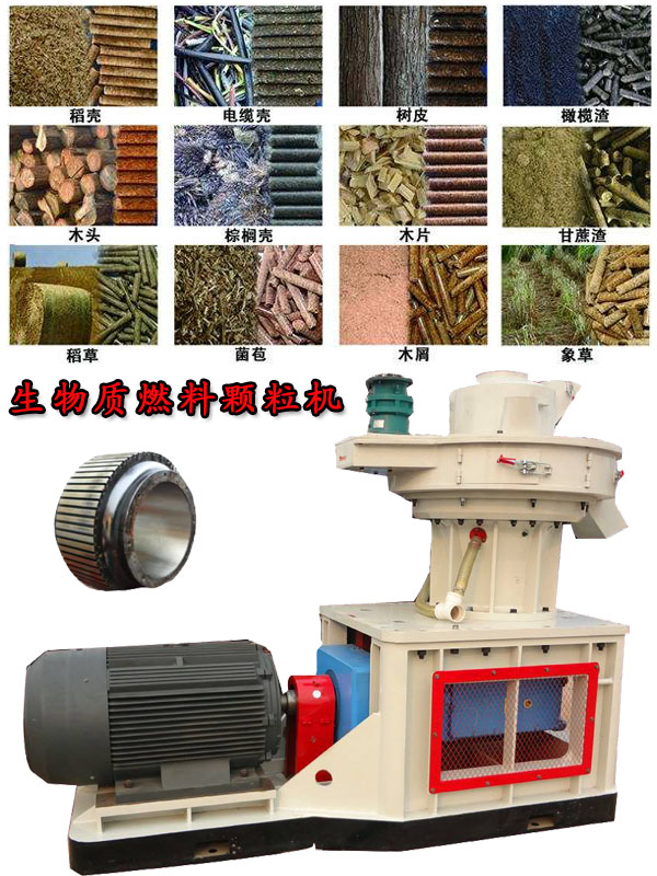 國(guó)內(nèi)外生物質(zhì)燃料顆粒機(jī)應(yīng)用現(xiàn)狀的疑問(wèn)！
